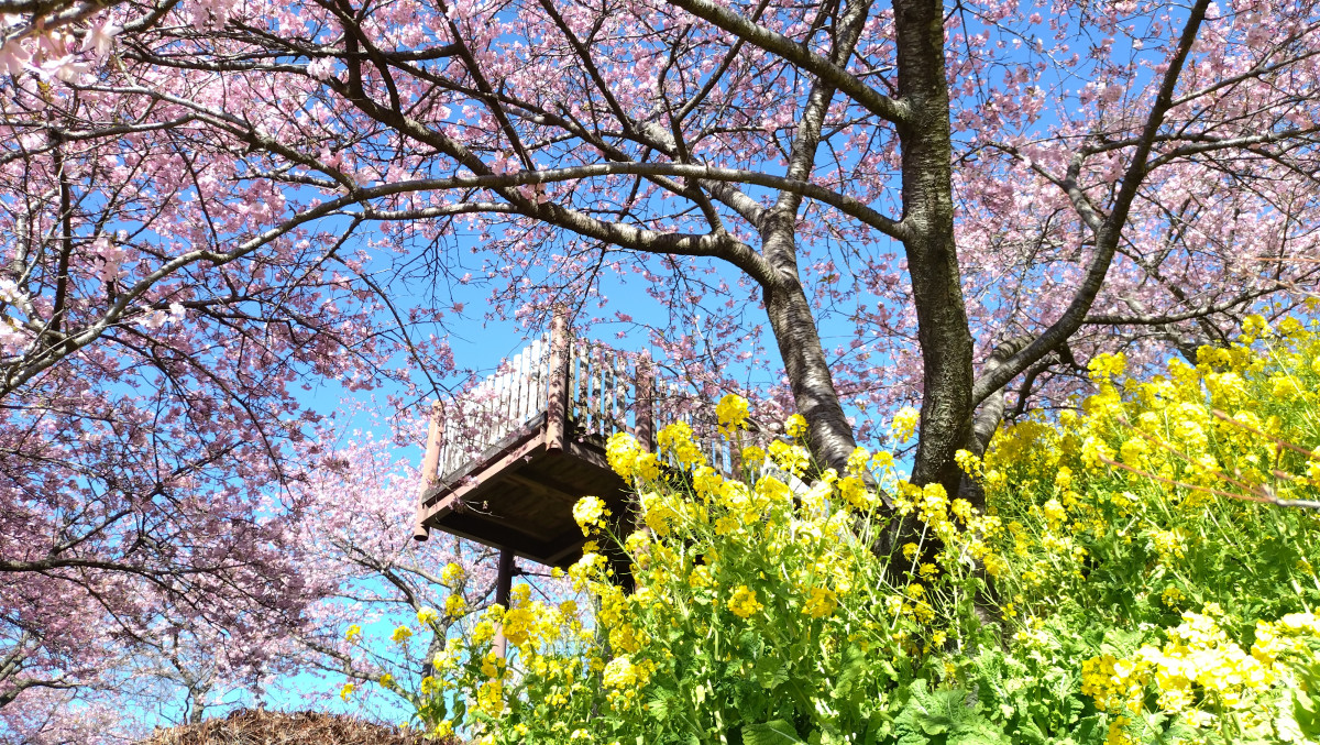 西平 畑 公園